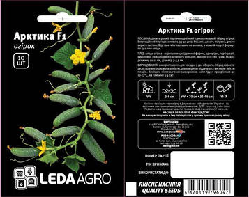 Огірок Арктика F1 10шт