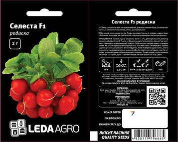 Редиска Селеста F1 2г