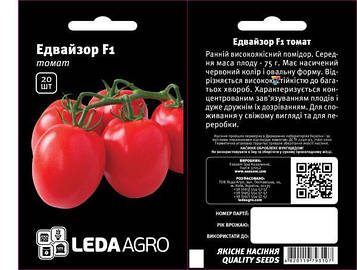 Томат Едвайзор F1 100шт
