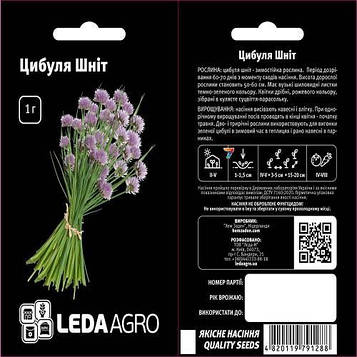 Цибуля Шніт 1г