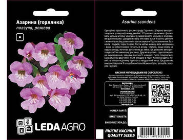 Квіти Азарина рожева 4 шт