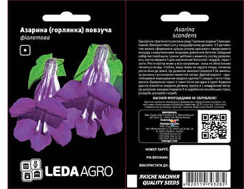 Квіти Азарина фіолетова 4шт