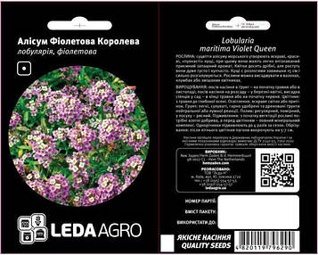 Квіти Алісум фіолетова королева 0,2г