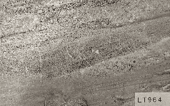 ПВХ Бамбукова панель LT964 5 мм