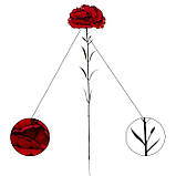 Бархатна гілка гвоздики, 60см, фото 4