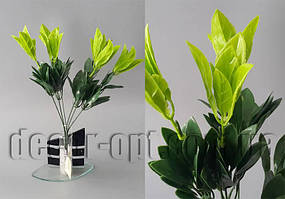 Домішка із салатово-зеленим листям 35 см GAB108