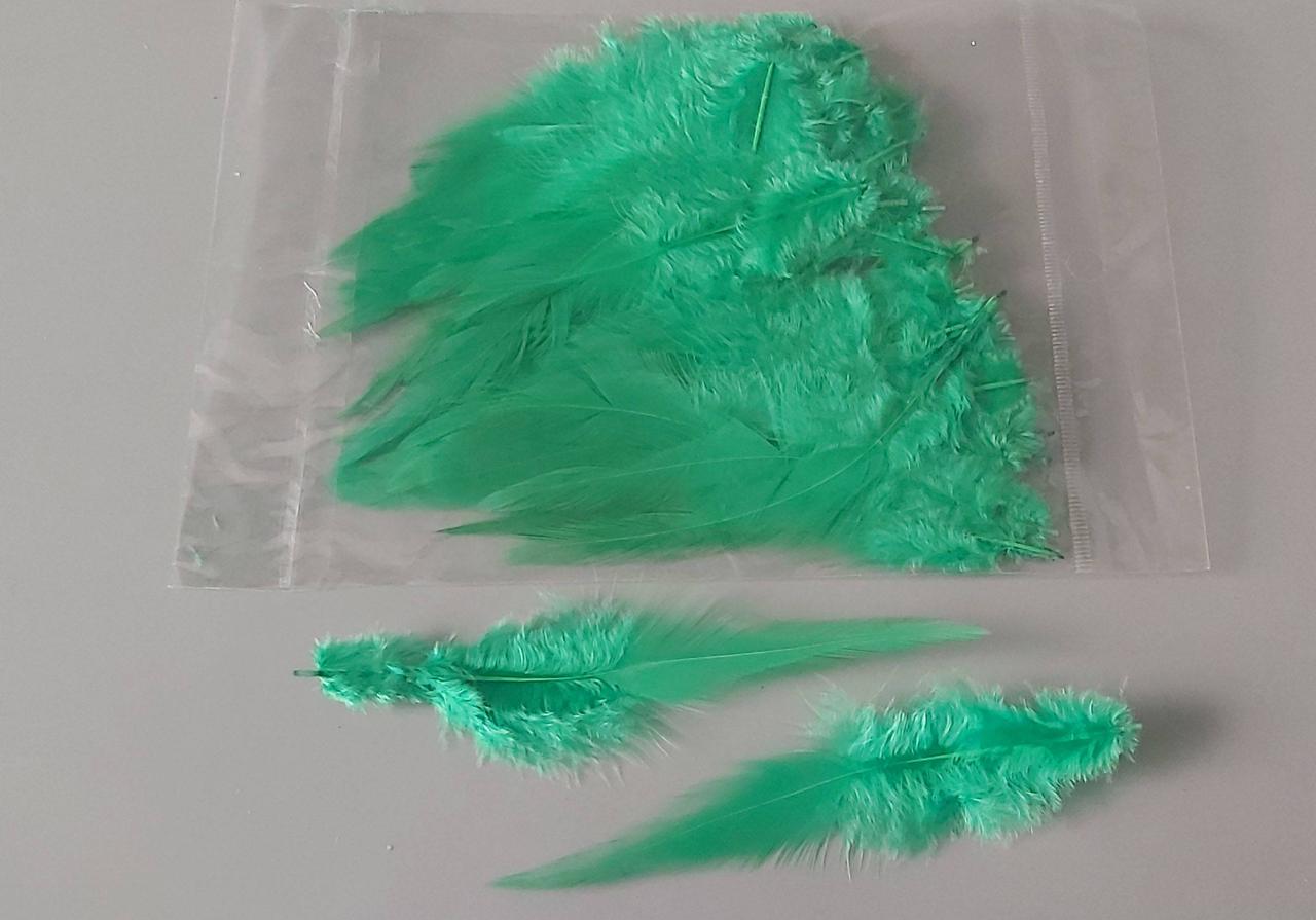 Пір'я зелене пухове прорізне 8-16 см 50 шт.
