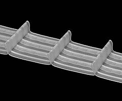Тасьма прозора 3960 MP 6,5 см 1/1,8