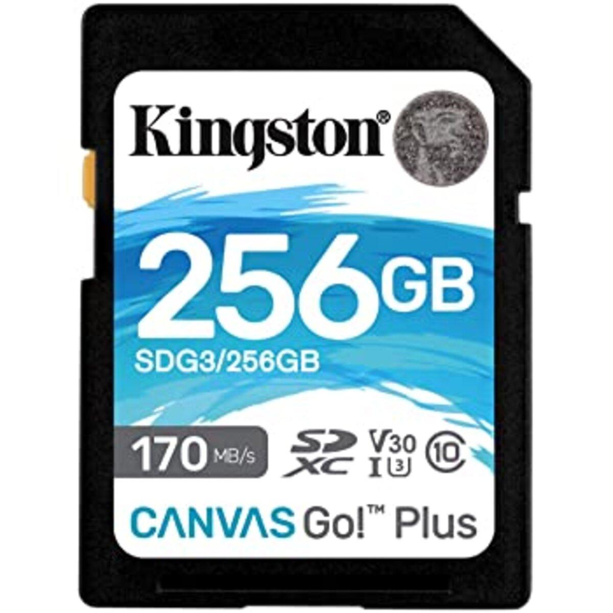 Карта пам'яті SDXC (UHS-1 U3) Kingston Canvas Go Plus 256Gb class 10 V30 (R170MB/s, W90MB/s)