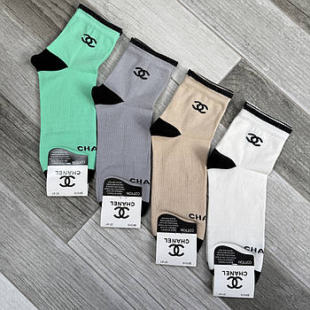 Шкарпетки жіночі демісезонні бавовна середні Chanel, розмір 37-41, асорті, 015-29