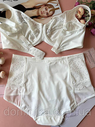 80/85/90/95D Комплект білизни мереживний бюстгальтер на кісточках + труси з високою посадкою білий, фото 2