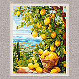 Картина за номерами Пейзаж. Лимонне дерево (цитрус) 40*50 см Орігамі LW 3490, фото 7
