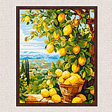 Картина за номерами Пейзаж. Лимонне дерево (цитрус) 40*50 см Орігамі LW 3490, фото 9