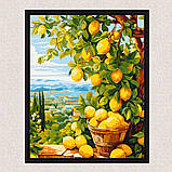 Картина за номерами Пейзаж. Лимонне дерево (цитрус) 40*50 см Орігамі LW 3490, фото 8
