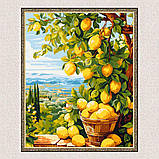 Картина за номерами Пейзаж. Лимонне дерево (цитрус) 40*50 см Орігамі LW 3490, фото 6