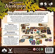 Настільна гра Дослідники Лісокраю (Explorers of the Woodlands), фото 2