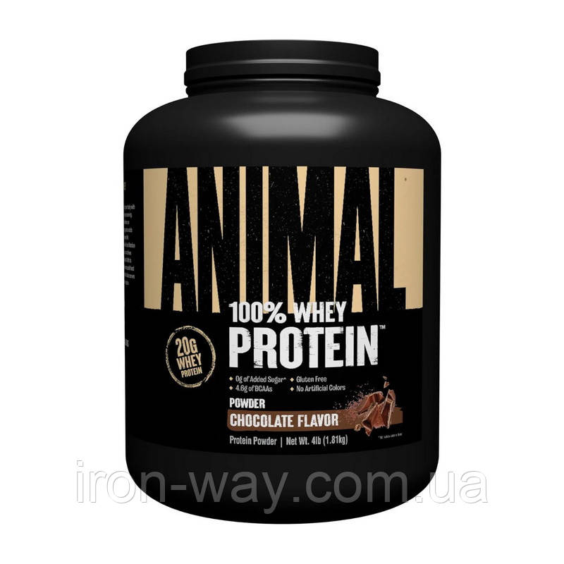 Universal Animal 100% Whey Protein (1,81 kg, chocolate)