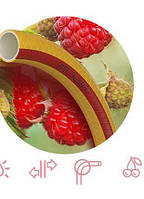 Шланг Патріот Fruit+Berry 1/2 20м