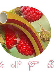 Шланг Патріот Fruit+Berry 1/2 20м