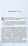 Пророк і блудниця. Коментарі до розділів 1-3 книги пророка Осії. Ігумен Арсеній (Соколов), фото 10