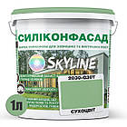 Кольорова Фасадна Силіконова Фарба «Силіконфасад» SkyLine 2030-G30Y Сухоцвіт 1л, фото 3