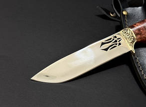 Ніж мисливський подарунковий Nb Art Тигр з гербом 223k70 у шкіряному чохлі, фото 4