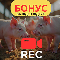 Отримайте 300 грн за відео-відгук на годівницю або станок для опоросу