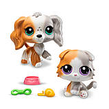 Ігровий набір LITTLEST PET SHOP — ДРУЗЬ — ДВІЙНІ, фото 2