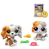 Ігровий набір LITTLEST PET SHOP — ДРУЗЬ — ДВІЙНІ, фото 3