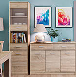 Комод 3Д2Ш Типс (Мебель-Сервіс) 1232х343х850мм, фото 3