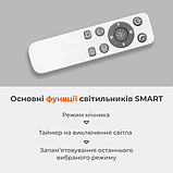 Світлодіодна люстра з пультом BIOM 80Вт SML-R22-80/2, 49 см, зміна температури світла, яскравості, кругла, біла, фото 6