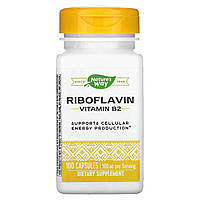 Вітамін B2 рибофлавін Nature's Way (Vitamin B2, riboflavin) 100 мг 100 капсул