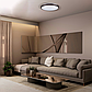 RING матовий 80W 480*60мм 3000К-6500К з ДК бронзовий, фото 9