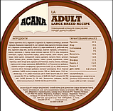 Сухий корм Acana Adult Large Breed для дорослих собак великих порід курча та індичка11,4 кг, фото 5