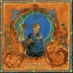 Straylight Run – The Needles The Space (CD Audio)