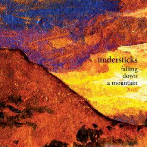 Tindersticks – Falling Down A Mountain (CD Audio)