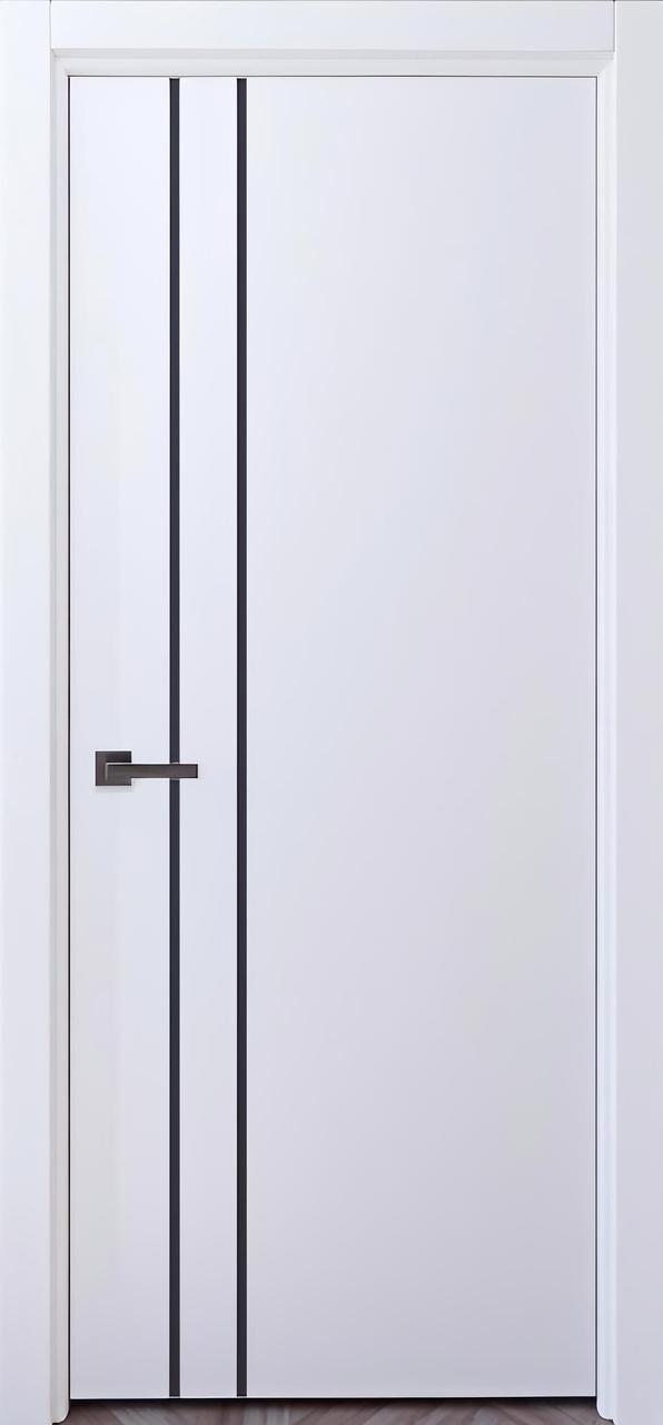 Двері фарбовані, Полотно Луцьк