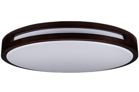 80W (450мм) з пультом