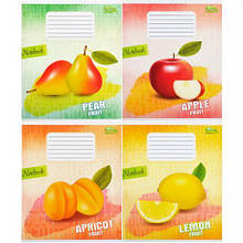 Зошит кольоровий 18 аркушів, лінія "Green" "2321" MZOPT