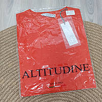 Футболка чоловіча Altitudine Італія базова однотонна без принта Помаранчева (ORANGE)