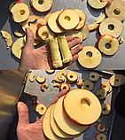 Машина для видалення серцевини яблук РН-48 (48 шт/хв) з можливістю нарізання слайсами (від 6 мм) або часточками, фото 7