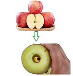 Машина для видалення серцевини яблук РН-48 (48 шт/хв) з можливістю нарізання слайсами (від 6 мм) або часточками, фото 8