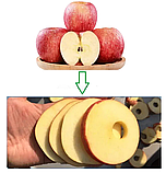 Машина для видалення серцевини яблук РН-48 (48 шт/хв) з можливістю нарізання слайсами (від 6 мм) або часточками, фото 9