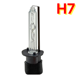 ксенон H7