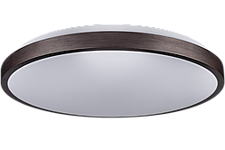 Світильник стельовий RING матовий 80W 480*60мм 3000К-6500К з пультом бронзовий