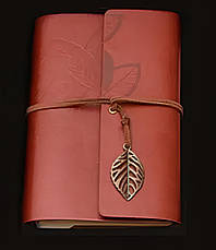 Подарунковий набір пір’яна ручка з чорнильницею RESTEQ — елегантний набір для письма та каліграфії, фото 4