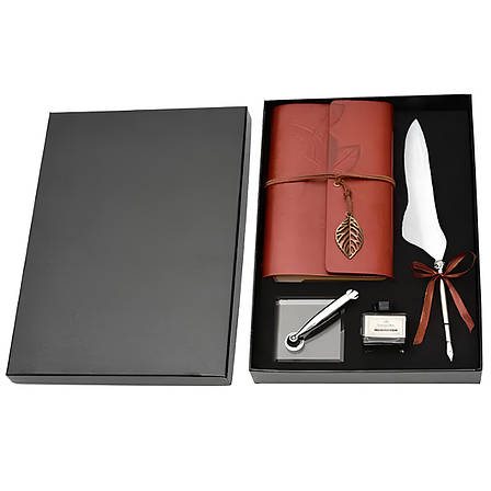 Подарунковий набір пір’яна ручка з чорнильницею RESTEQ — елегантний набір для письма та каліграфії, фото 1