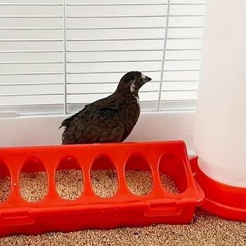 Годівниця для курей, курчат та інших птахів завдовжки 71 см і з кожного боку має по 10 отворів