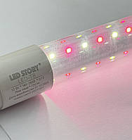 LED лампа для м'яса Led-Story PINK MEAT 12W Т8 0,9м двостороннє підключення