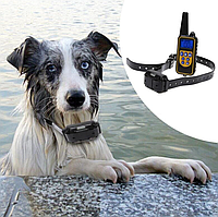 Водонепроницаемый ошейник для дрессировки воспитания собак с дистанционной с вибрацией DTC800